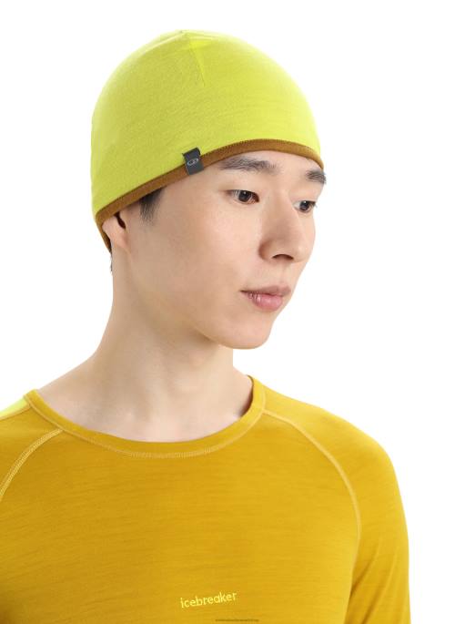 Icebreaker unisex merino lomme beanie B00X450 tilbehør glans/nelliker