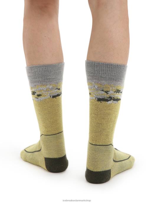Icebreaker Mænd merino hike+ medium crew sokker sedimentære B00X286 tilbehør sommer/loden