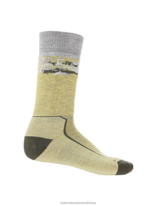 Icebreaker Mænd merino hike+ medium crew sokker sedimentære B00X286 tilbehør sommer/loden