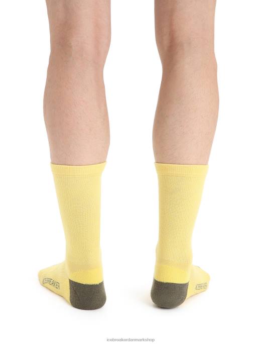 Icebreaker Mænd merino lifestyle light crew sokker B00X295 tilbehør sommer/loden