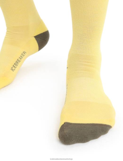 Icebreaker Mænd merino lifestyle light crew sokker B00X295 tilbehør sommer/loden