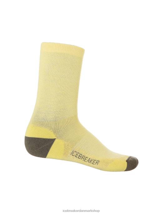 Icebreaker Mænd merino lifestyle light crew sokker B00X295 tilbehør sommer/loden