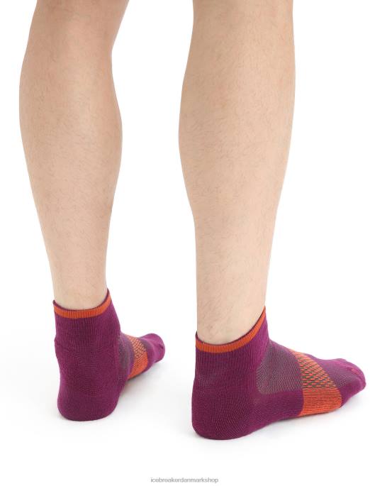 Icebreaker Mænd merino multisport lette ministrømper B00X292 tilbehør gå bær/levende jord