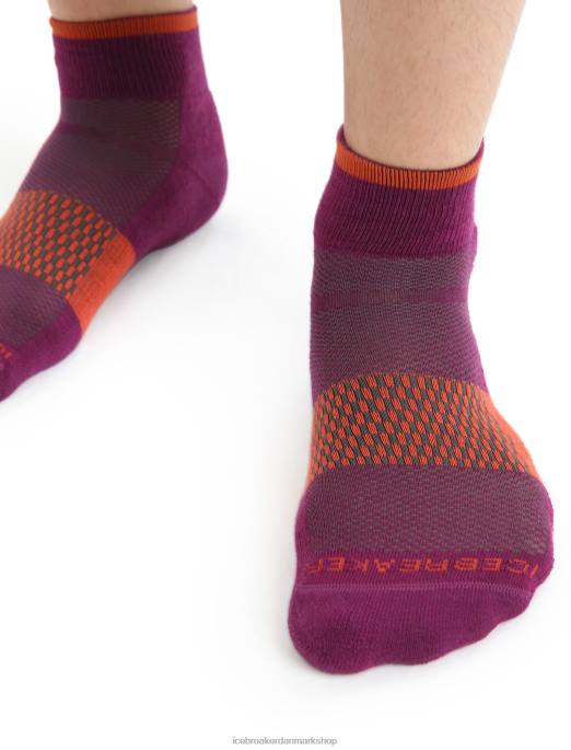 Icebreaker Mænd merino multisport lette ministrømper B00X292 tilbehør gå bær/levende jord