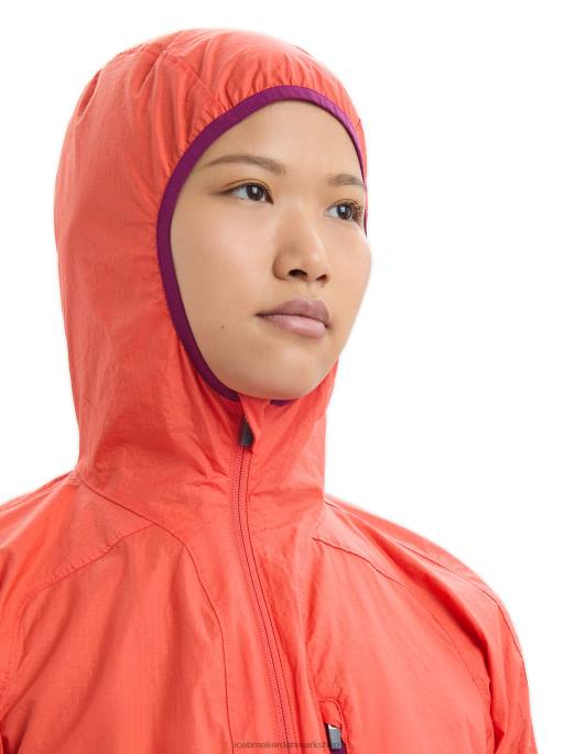 Icebreaker Kvinder shell+ vindjakke i merino bomuld B00X680 tøj levende jord/lilla blik