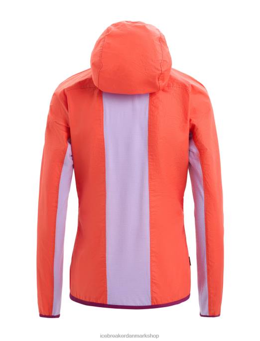 Icebreaker Kvinder shell+ vindjakke i merino bomuld B00X680 tøj levende jord/lilla blik