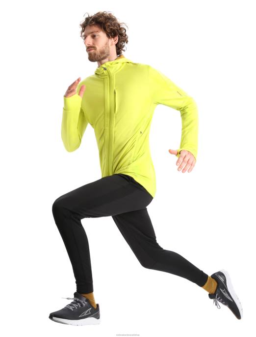 Icebreaker Mænd merino quantum iii langærmet hættetrøje med lynlås B00X409 tøj glans/nelliker