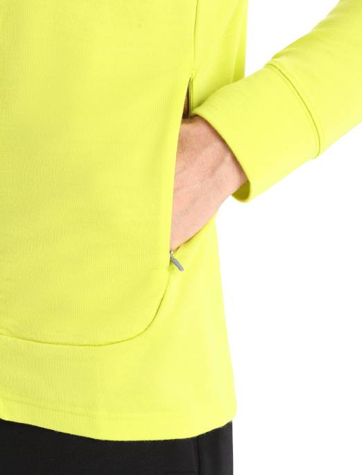 Icebreaker Mænd merino quantum iii langærmet hættetrøje med lynlås B00X409 tøj glans/nelliker