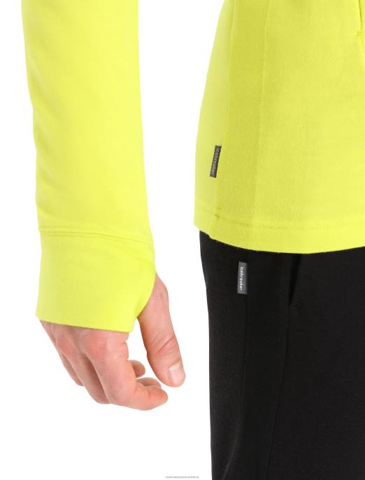 Icebreaker Mænd merino quantum iii langærmet hættetrøje med lynlås B00X409 tøj glans/nelliker