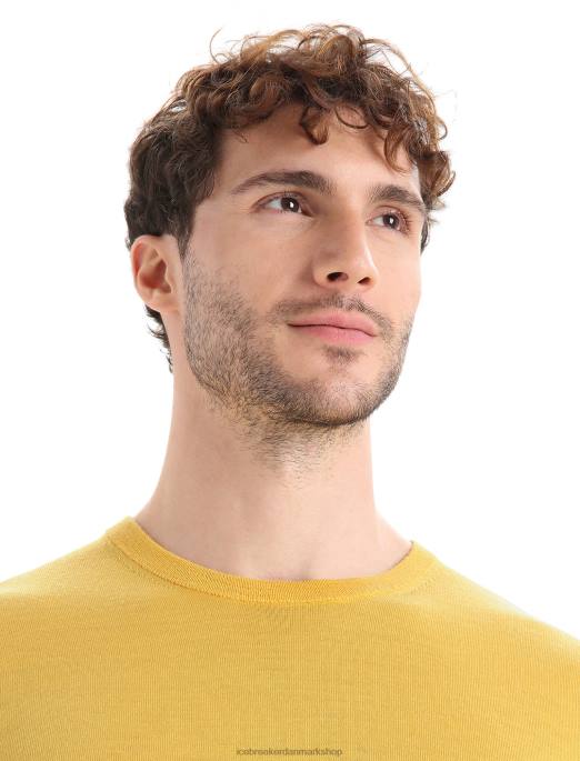 Icebreaker Mænd merino wilcox langærmet sweater B00X215 tøj sommer