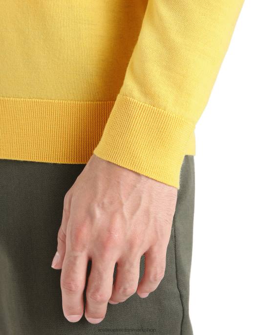 Icebreaker Mænd merino wilcox langærmet sweater B00X215 tøj sommer