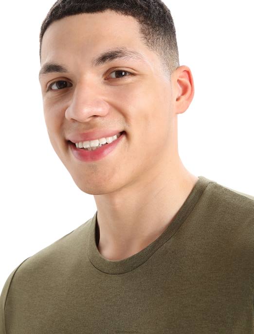 Icebreaker Mænd merino central klassisk kortærmet t-shirt campingvogn B00X355 tøj loden