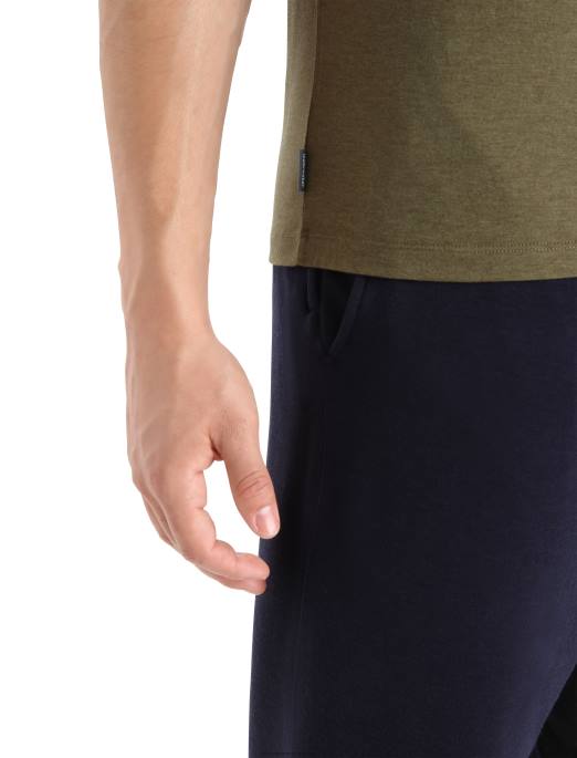 Icebreaker Mænd merino central klassisk kortærmet t-shirt campingvogn B00X355 tøj loden