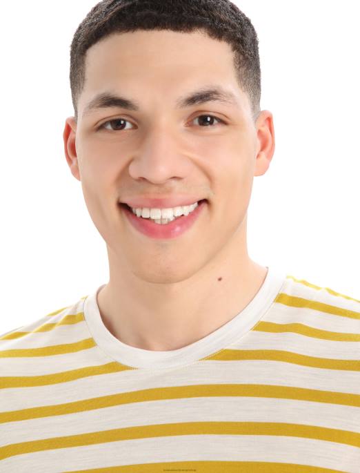 Icebreaker Mænd merino drayden kortærmet t-shirt stribe B00X396 tøj ecru lyng/stumguld