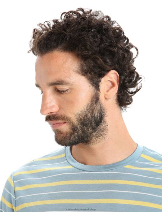 Icebreaker Mænd merino wave kortærmet stribet t-shirt B00X19 tøj astralblå/sommer