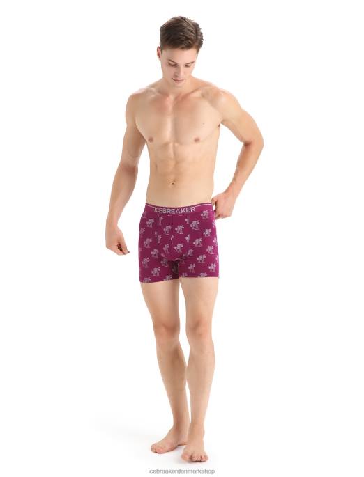 Icebreaker Mænd merino anatomica boksere B00X113 tøj gå bær