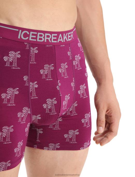 Icebreaker Mænd merino anatomica boksere B00X113 tøj gå bær