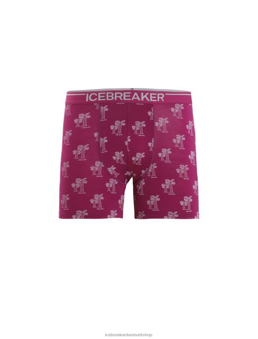 Icebreaker Mænd merino anatomica boksere B00X113 tøj gå bær